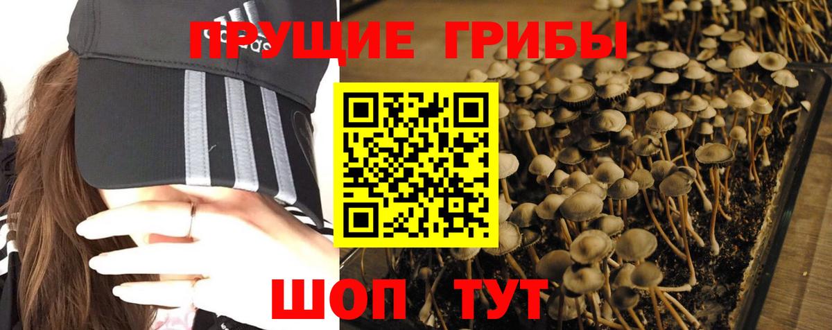 Галлюциногенные грибы Magic Shrooms  Вход с VPN  купить наркоту  Междуреченск 